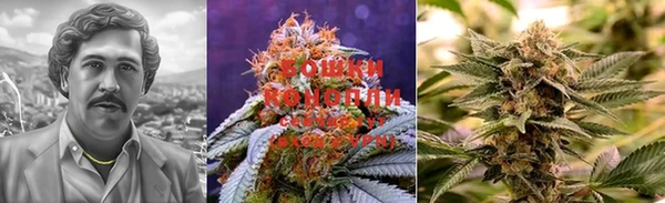 прущая мука Белокуриха